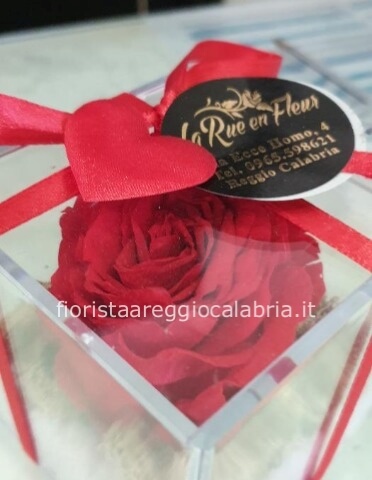 Rosa stabilizzata vari colori