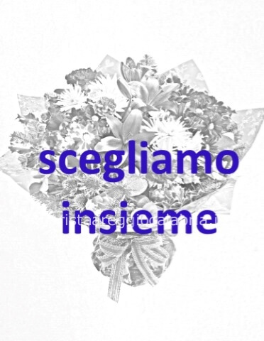 Omaggio da concordare a telefono al 3409921544